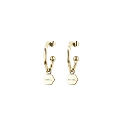 PROMISE-IP GOLD STEEL EARRINGS